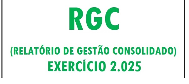 Relatório de Gestão Consolidado 2025: Câmara Municipal de Eliseu Martins