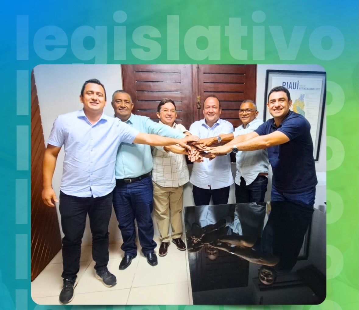 Vereadores de Eliseu Martins participam de reunião em Teresina em busca de melhorias para o município